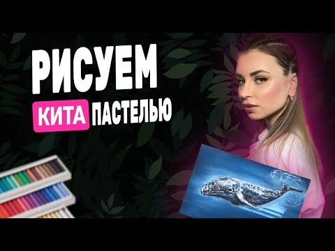 Видео: 🐋 МАСТЕР-КЛАСС: РИСУЕМ КИТА ПАСТЕЛЬЮ — МЯГКО, ГЛУБОКО, ВОЛШЕБНО