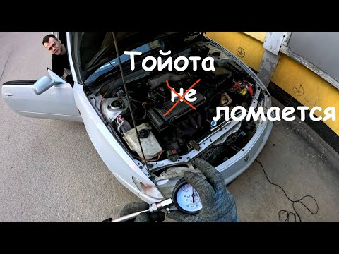 Видео: Оживление Toyota: Prado и Sprinter Trueno