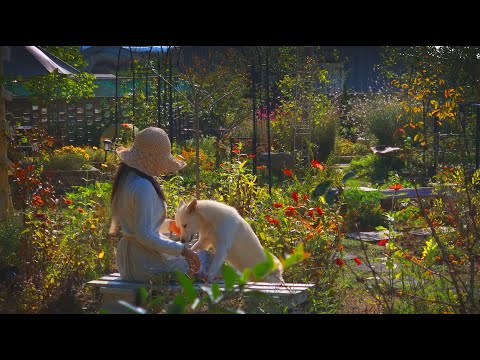 Видео: № 107. Ноябрь: когда листья опадают, я сажаю весну! | Посадка тюльпанов поздней осенью