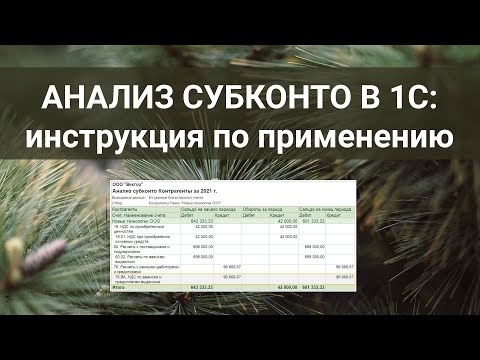 Видео: Анализ субконто в 1С: инструкция по применению