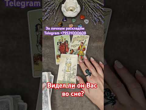 Видео: 💯ВЫ АХНЕТЕ🫣‼️Видел ли он Вас во сне⁉️😴😻Таролог и нумеролог Екатерина Зырянова🔮🧙Telegram +79531000608