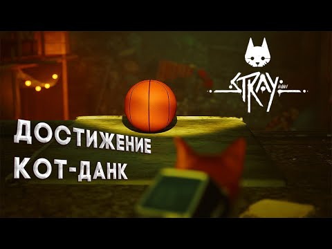 Видео: Выполняем достижение "Кот-данк" в Stray