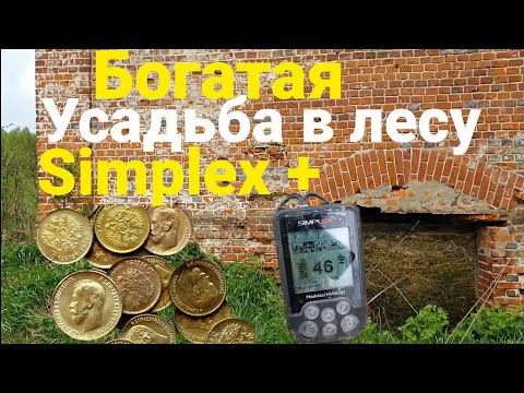 Видео: БОГАТАЯ УСАДЬБА В ЛЕСУ с 3 конюшнями.Богатый коп с Simplex Plus, Чешуя, кресты, кольца,монеты Петров