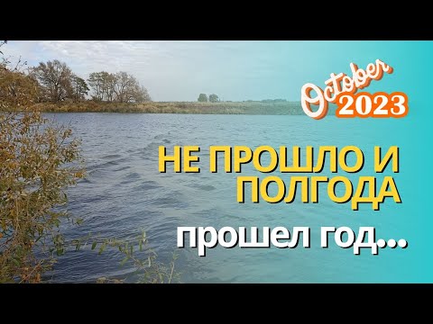 Видео: Не прошло и полгода... Прошел год! :)