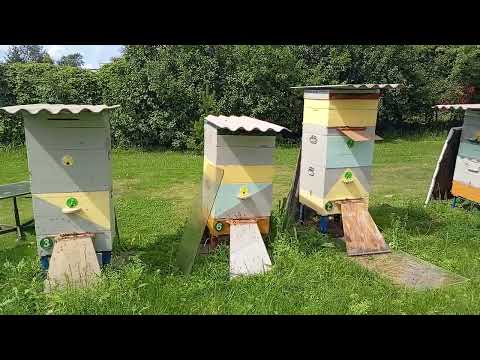 Видео: От четырёх до семи