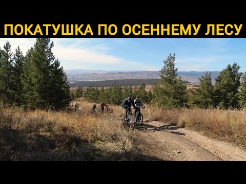 Видео: Покатушка по осеннему лесу  / Улан-Удэ / 2021 / От первого лица