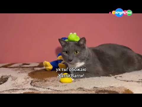 Видео: котинет 1 серия 2 сезон(новогодний выпуск)(31.12.2015)