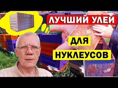 Видео: Нуклеус для пчел. Что лучше? Изготовить или купить?