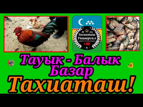 Видео: ТАУЫК - БАЛЫК БАЗАР, ПТИЧИЙ РЫНОК#тахиаташ#каракалпакистан#бахалары#цены#куры#рыбы#цыплята#утки#корм