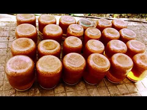 Видео: Как се прави доматен сок. Рецепта за лютеница със суров пипер , домат , морков и патладжан /Видео№5/