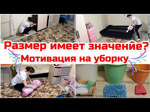 Видео: Размер имеет значение?/ Уборка в зале/ Чистота и порядок!  Мотивация на уборку. Любимый Василек.