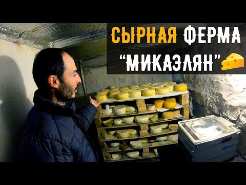 Видео: Бизнес в Армянской деревне / Сыроварня