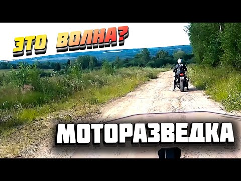 Видео: Моторазведка "Альпийские луга" Подмосковье. Honda CBR1100XX #cruiservibe