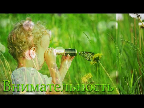 Видео: "Внимательность" Антонюк Н.С.