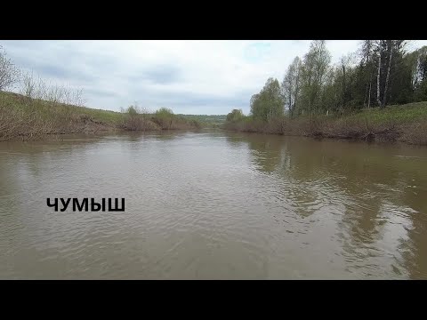 Видео: Чумыш сплав с Костёнково май 21г