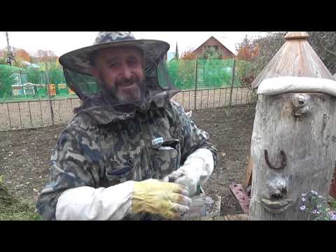 Видео: Счастье есть - КОЛОДНЫЙ МЕД