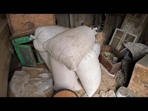 Видео: ПРИВЕЗЛИ ЗЕРНО / ВЫКОСИЛА ВЕСЬ ДВОР..