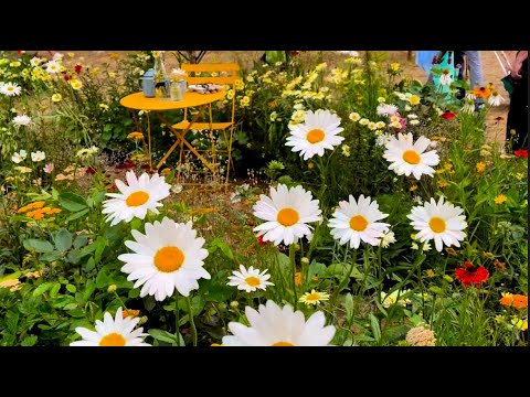 Видео: Лондон  Сады Хамптон Корт 2024 (Часть 2) - London Hampton Court 2024 #london  #flowers #garden