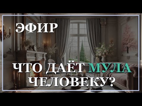 Видео: Мула: сила через боль и испытания 🌱🔥