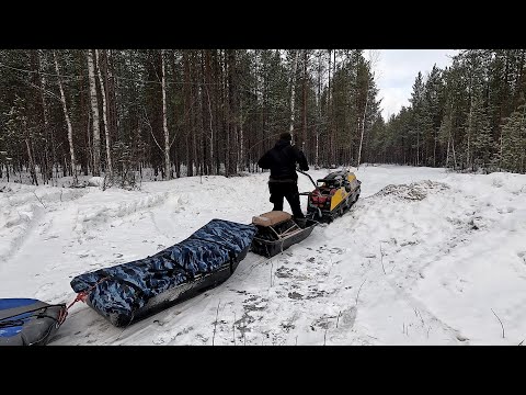 Видео: РЫБАЛКА КАК РАНЬШЕ. НА МОТОСОБАКЕ В ТАЙГУ. ЛОВИМ РЫБУ НА ЛЕСНОМ ОЗЕРЕ. ПОСЛЕДНИЙ ЛЁД. ТАЁЖНАЯ ЖИЗНЬ