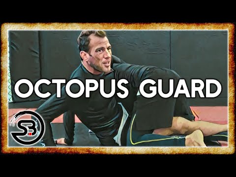 Видео: Защита осьминога в ММА — подсечка, стой или атака сзади