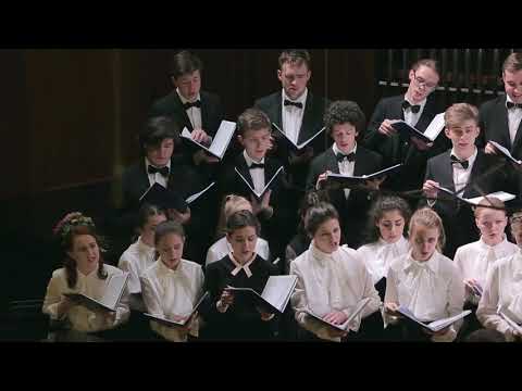 Видео: Диплом 2019 года