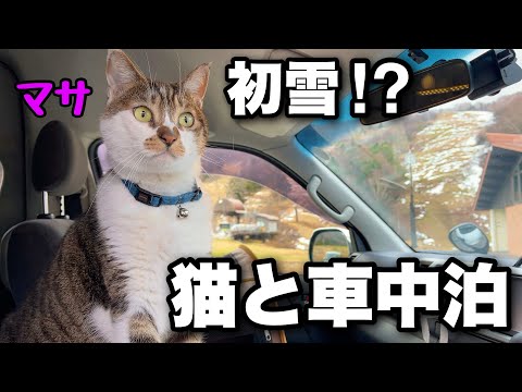 Видео: Автомобильный кемпинг с котом. На горнолыжном курорте начал падать снег