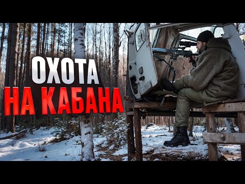 Видео: ОХОТА С КАБИНЫ МАШИНЫ.  КТО ПРИШЁЛ НА ПРИКОРМКУ? КАДРЫ С ФОТОЛОВУШКИ.