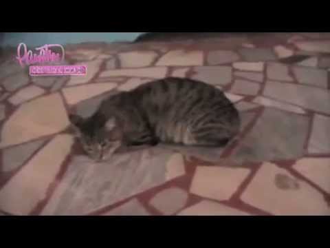 Видео: Ранетки. Секретная жизнь. 2 сезон 4 серия