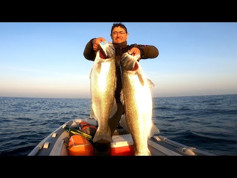 Видео: Приготовление рыбы на костре на необитаемом острове. Один в море.