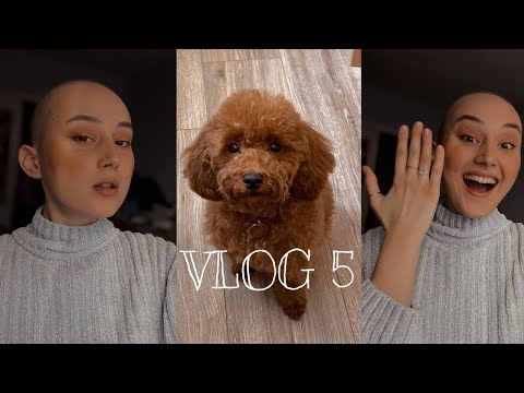 Видео: vlog / теперь невеста / гуляем с бэмби