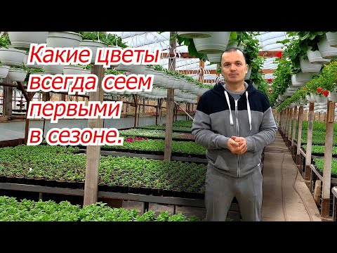 Видео: Эти пять цветов нужно посеять уже сейчас!