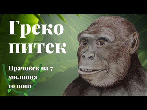 Видео: Прачовек от Балканите на 7 мил. години | Грекопитек