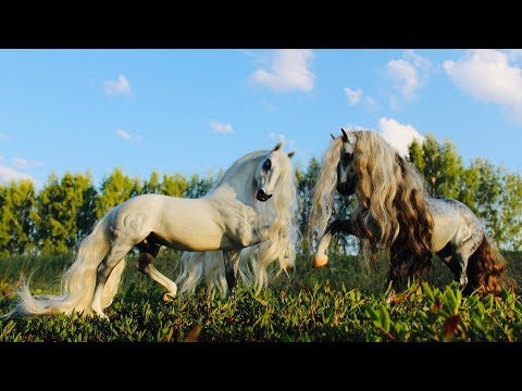 Видео: ЛОШАДИ НА ПРИРОДЕ?ЛЕТНИЙ КОННЫЙ ВЛОГ с ЛОШАДЬМИ/ЛОШАДИ БРЕЕР/БРЕЙЕР/HORSES BREYER PHOTOS/МОИ КОНИ