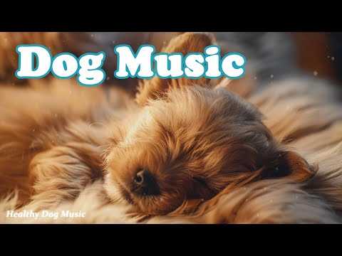Видео: Музыка для собак, чтобы заснуть💖🐶Музыка для собак, чтобы успокоить их🎵 Лечебная музыка для собак 🌙