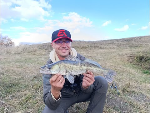 Видео: Рыбак на судаке. Осенний судак. Где сейчас стоит трофейный судак? На что клюет судак. Осень 2025