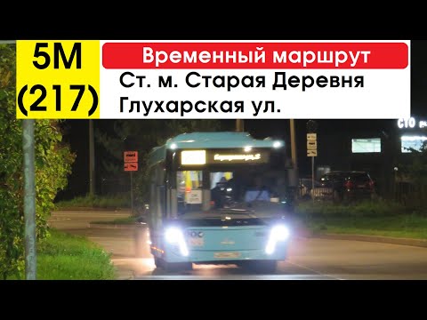 Видео: Автобус 5М (217) "Глухарская ул. - ст. м. "Старая Деревня" (временный маршрут) (маршрут закрыт)