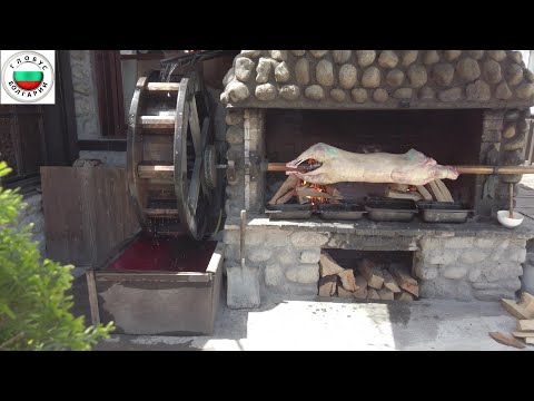 Видео: Жить что бы есть или есть что бы жить...