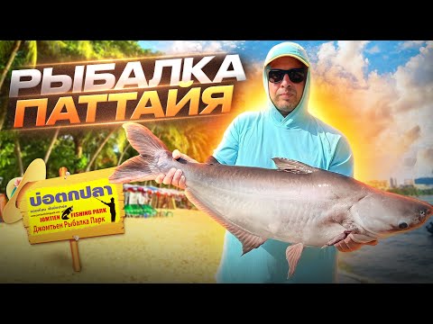 Видео: Рыбалка на озере в Паттайе. Джамтьен фишинг парк.