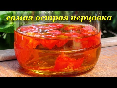 Видео: Самая ОСТРАЯ перцовка из самого острого перца - Каролинский жнец