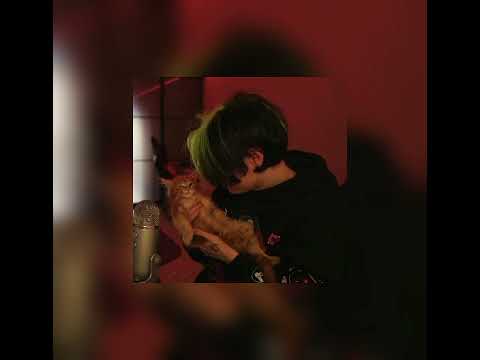 Видео: полицаи speed up