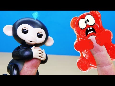 Видео: У НАС ЗАВЕЛАСЬ МАРТЫШКА И ЖЕЛЕЙНЫЙ МЕДВЕДЬ ВАЛЕРА