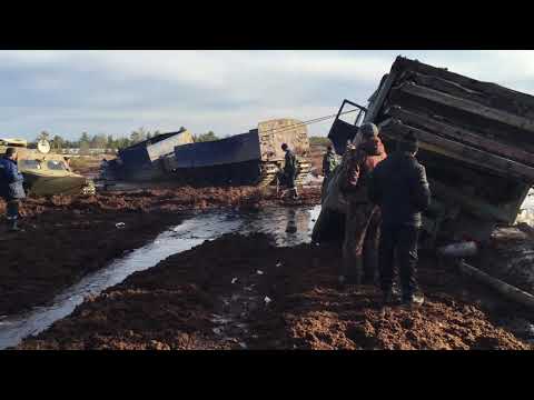 Видео: Вытаскиваем Урал Витязем и мтлб.
