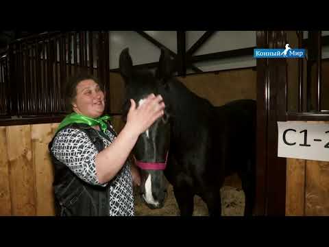 Видео: ТК «Конный мир» о выставке «Иппосфера 2019», 2 часть