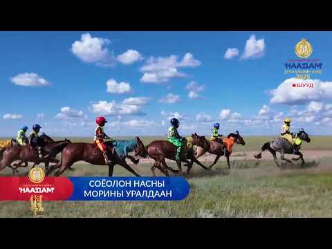 Видео: ЗҮҮН БҮСИЙН ХУРД 2025 наадмын бөхийн барилдааны гурвын даваа