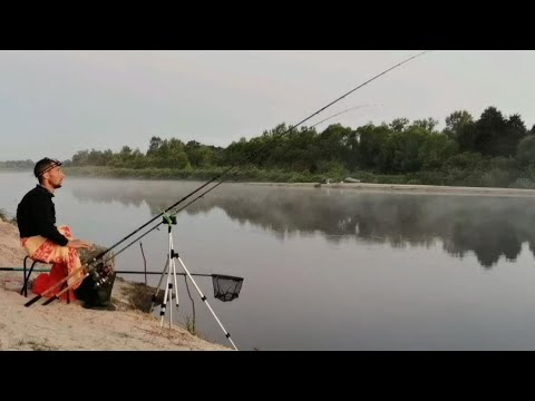 Видео: РЫБАЛКА НА РЕКЕ ПРИПЯТЬ. ПОДОБРАЛ НАСАДКУ НА КРУПНУЮ ПЛОТВУ