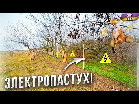 Видео: ЭЛЕКТРОПАСТУХ - установлен! ЛИСАМ вход ВОСПРЕЩЕН! Поможет ли?