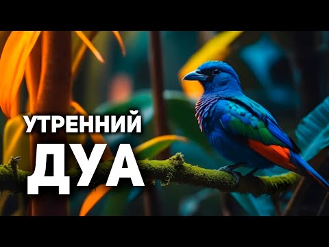 Видео: УТРЕННИЙ ДУА أذكار الصباح ЗАЩИТИТЬ ВАС ВЕСЬ ДЕНЬ | СЛУШАЙТЕ КАЖДОЕ УТРО!