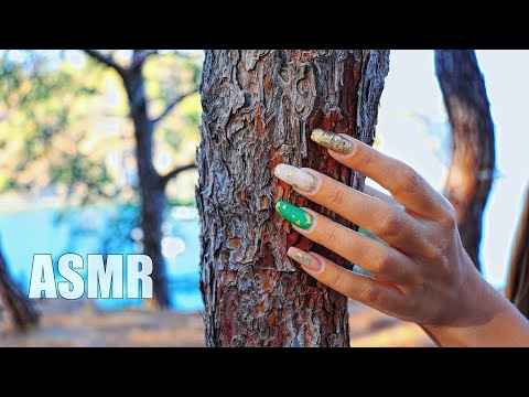 Видео: ASMR TRIGGERS in the FOREST for SLEEP | АСМР в ЛЕСУ 100% МУРАШКИ Звуки дерева