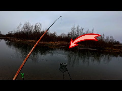 Видео: РИБОЛОВ на ПЛУВКА с ТРОХА - РАЗНООБРАЗЕН УЛОВ на РЕКА РОСИЦА!